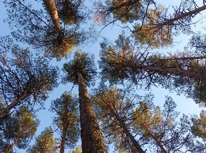 Δωμάτια σε οικογενειακή κατοικία Maenni Puhkebaas Karjamaa
